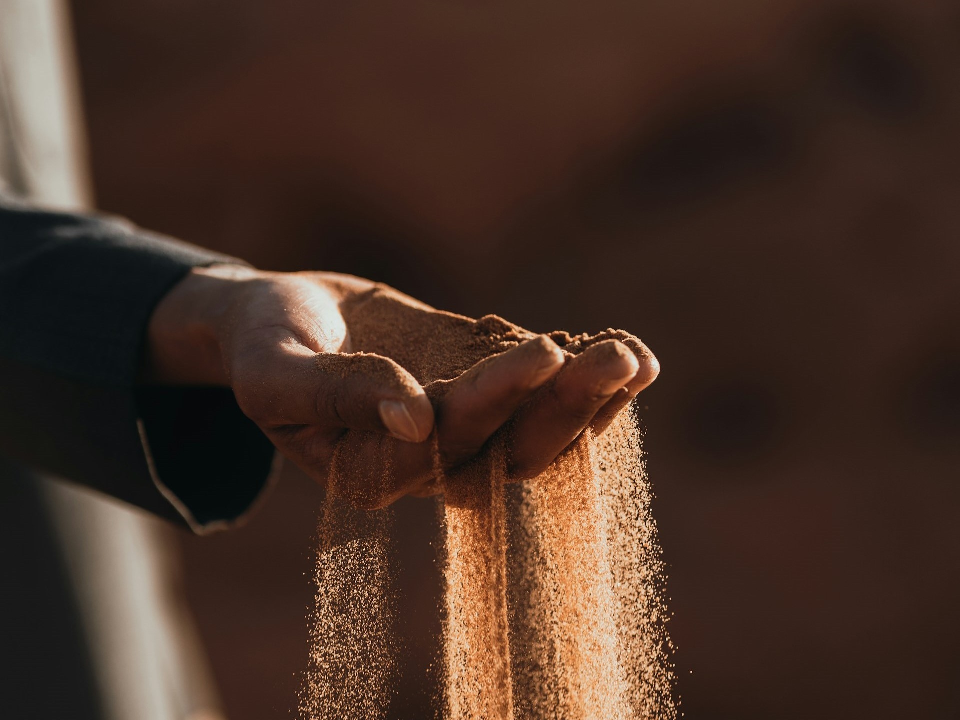 Lorem ipsum dolor sit amet consectetur